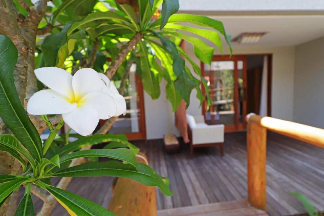 Santa Aldeia * Porto Seguro